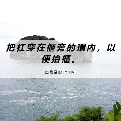 Picture 06 - 出 埃 及 記 37:5 CUVT - 把 杠 穿 在 櫃 旁 的 環 內 ， 以 便 - Bible Verse Picture