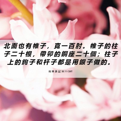 Picture 06 - 出 埃 及 記 38:11 CUVT - 北 面 也 有 帷 子 ， 寬 一 百 肘 。 - Bible Verse Picture