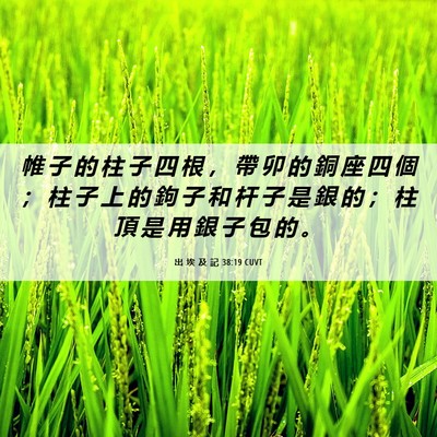 Picture 06 - 出 埃 及 記 38:19 CUVT - 帷 子 的 柱 子 四 根 ， 帶 卯 的 銅 - Bible Verse Picture