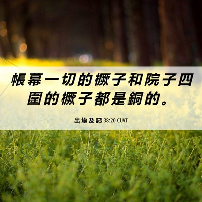 Picture 06 - 出 埃 及 記 38:20 CUVT - 帳 幕 一 切 的 橛 子 和 院 子 四 圍 - Bible Verse Picture