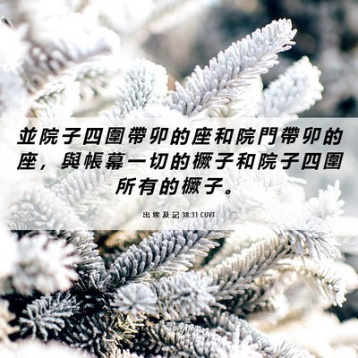 Picture 06 - 出 埃 及 記 38:31 CUVT - 並 院 子 四 圍 帶 卯 的 座 和 院 門 - Bible Verse Picture