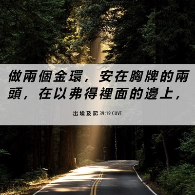 Picture 06 - 出 埃 及 記 39:19 CUVT - 做 兩 個 金 環 ， 安 在 胸 牌 的 兩 - Bible Verse Picture