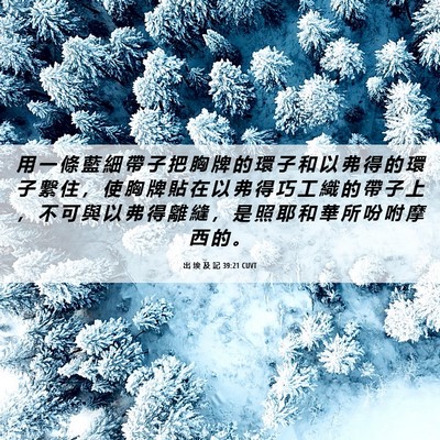 Picture 06 - 出 埃 及 記 39:21 CUVT - 用 一 條 藍 細 帶 子 把 胸 牌 的 環 - Bible Verse Picture