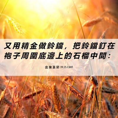 Picture 06 - 出 埃 及 記 39:25 CUVT - 又 用 精 金 做 鈴 鐺 ， 把 鈴 鐺 釘 - Bible Verse Picture