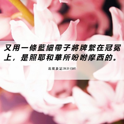Picture 06 - 出 埃 及 記 39:31 CUVT - 又 用 一 條 藍 細 帶 子 將 牌 繫 在 - Bible Verse Picture