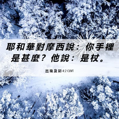 Picture 06 - 出 埃 及 記 4:2 CUVT - 耶 和 華 對 摩 西 說 ： 你 手 裡 是 - Bible Verse Picture