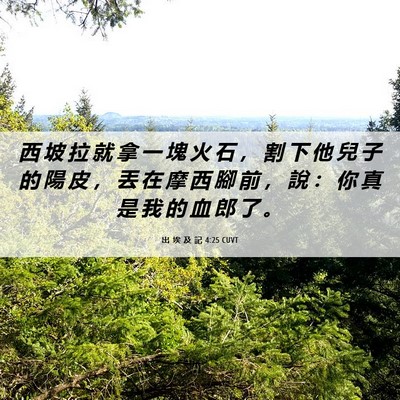 Picture 06 - 出 埃 及 記 4:25 CUVT - 西 坡 拉 就 拿 一 塊 火 石 ， 割 下 - Bible Verse Picture