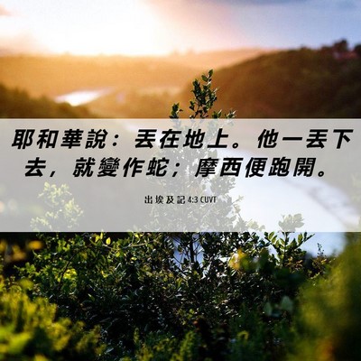 Picture 06 - 出 埃 及 記 4:3 CUVT - 耶 和 華 說 ： 丟 在 地 上 。 他 一 - Bible Verse Picture