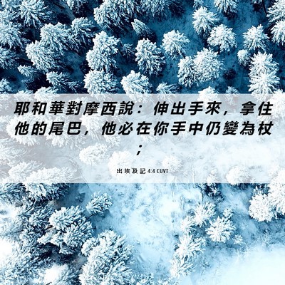 Picture 06 - 出 埃 及 記 4:4 CUVT - 耶 和 華 對 摩 西 說 ： 伸 出 手 來 - Bible Verse Picture
