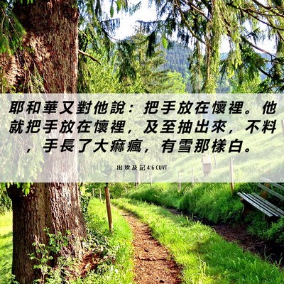 Picture 06 - 出 埃 及 記 4:6 CUVT - 耶 和 華 又 對 他 說 ： 把 手 放 在 - Bible Verse Picture