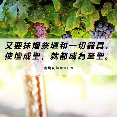 Picture 06 - 出 埃 及 記 40:10 CUVT - 又 要 抹 燔 祭 壇 和 一 切 器 具 ， - Bible Verse Picture