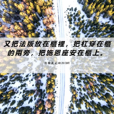 Picture 06 - 出 埃 及 記 40:20 CUVT - 又 把 法 版 放 在 櫃 裡 ， 把 杠 穿 - Bible Verse Picture