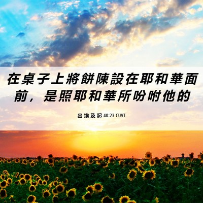 Picture 06 - 出 埃 及 記 40:23 CUVT - 在 桌 子 上 將 餅 陳 設 在 耶 和 華 - Bible Verse Picture