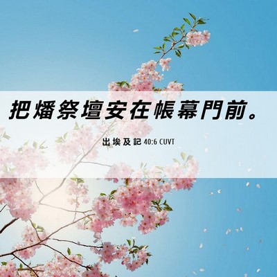 Picture 06 - 出 埃 及 記 40:6 CUVT - 把 燔 祭 壇 安 在 帳 幕 門 前 - Bible Verse Picture