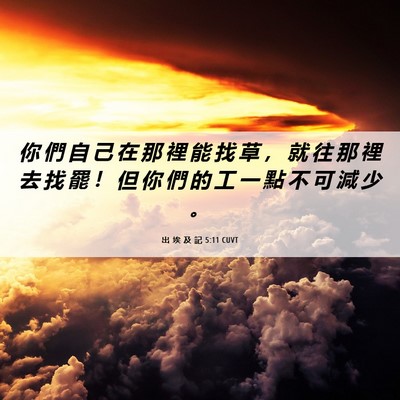 Picture 06 - 出 埃 及 記 5:11 CUVT - 你 們 自 己 在 那 裡 能 找 草 ， 就 - Bible Verse Picture