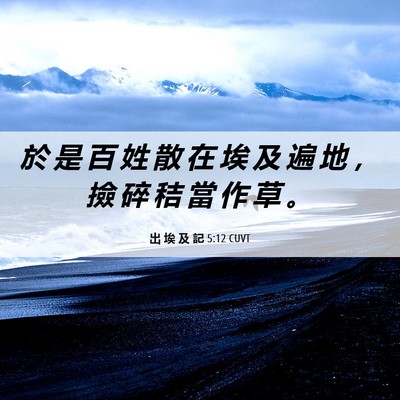 Picture 06 - 出 埃 及 記 5:12 CUVT - 於 是 百 姓 散 在 埃 及 遍 地 ， 撿 - Bible Verse Picture