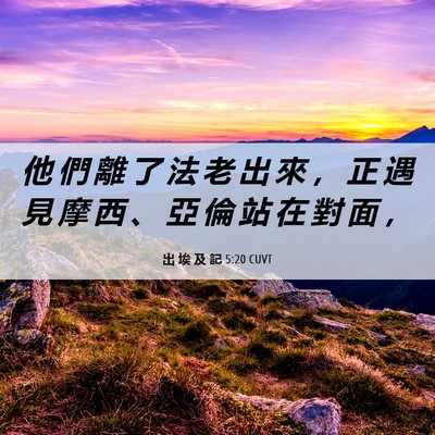 Picture 06 - 出 埃 及 記 5:20 CUVT - 他 們 離 了 法 老 出 來 ， 正 遇 見 - Bible Verse Picture