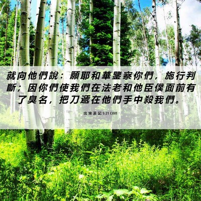 Picture 06 - 出 埃 及 記 5:21 CUVT - 就 向 他 們 說 ： 願 耶 和 華 鑒 察 - Bible Verse Picture