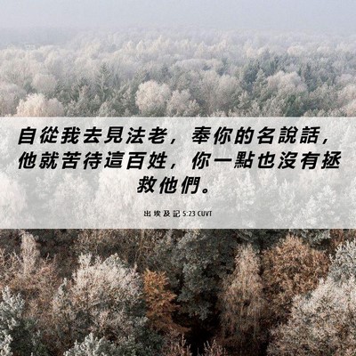 Picture 06 - 出 埃 及 記 5:23 CUVT - 自 從 我 去 見 法 老 ， 奉 你 的 名 - Bible Verse Picture