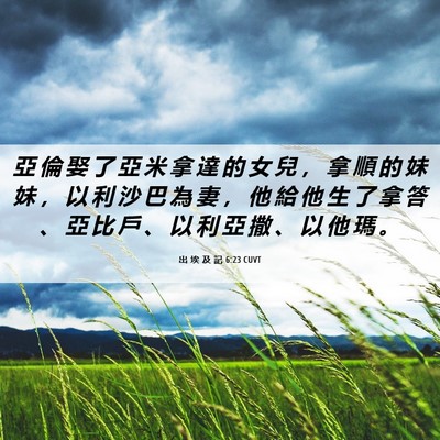 Picture 06 - 出 埃 及 記 6:23 CUVT - 亞 倫 娶 了 亞 米 拿 達 的 女 兒 ， - Bible Verse Picture