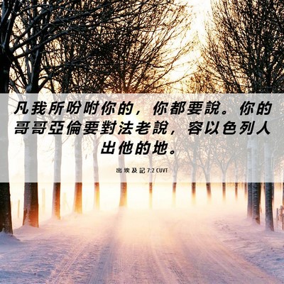Picture 06 - 出 埃 及 記 7:2 CUVT - 凡 我 所 吩 咐 你 的 ， 你 都 要 說 - Bible Verse Picture