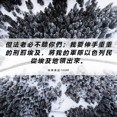 Picture 06 - 出 埃 及 記 7:4 CUVT - 但 法 老 必 不 聽 你 們 ； 我 要 伸 - Bible Verse Picture
