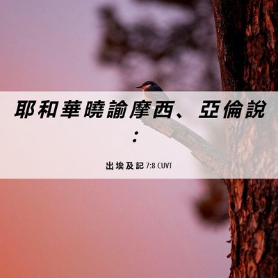 Picture 06 - 出 埃 及 記 7:8 CUVT - 耶 和 華 曉 諭 摩 西 、 亞 倫 說 - Bible Verse Picture