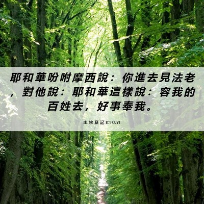 Picture 06 - 出 埃 及 記 8:1 CUVT - 耶 和 華 吩 咐 摩 西 說 ： 你 進 去 - Bible Verse Picture