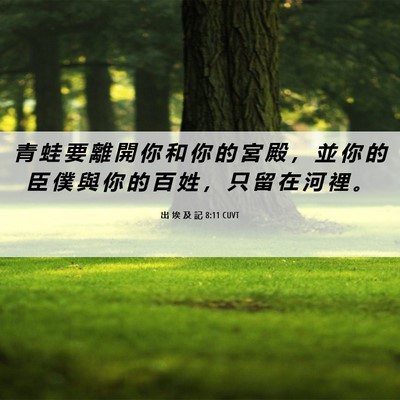 Picture 06 - 出 埃 及 記 8:11 CUVT - 青 蛙 要 離 開 你 和 你 的 宮 殿 ， - Bible Verse Picture