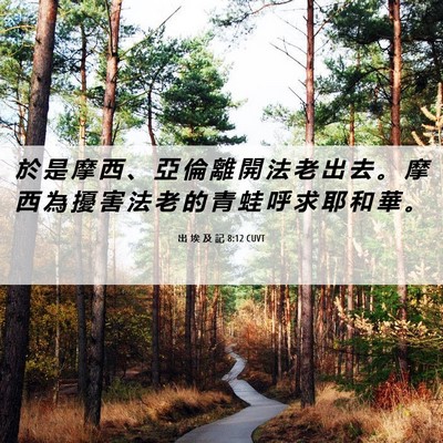 Picture 06 - 出 埃 及 記 8:12 CUVT - 於 是 摩 西 、 亞 倫 離 開 法 老 出 - Bible Verse Picture