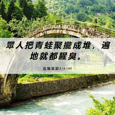 Picture 06 - 出 埃 及 記 8:14 CUVT - 眾 人 把 青 蛙 聚 攏 成 堆 ， 遍 地 - Bible Verse Picture