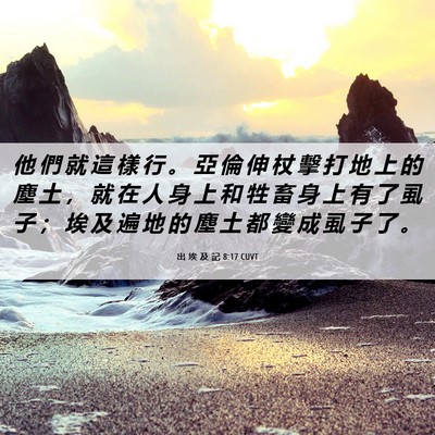 Picture 06 - 出 埃 及 記 8:17 CUVT - 他 們 就 這 樣 行 。 亞 倫 伸 杖 擊 - Bible Verse Picture