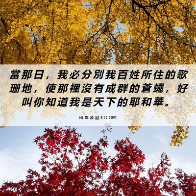 Picture 06 - 出 埃 及 記 8:22 CUVT - 當 那 日 ， 我 必 分 別 我 百 姓 所 - Bible Verse Picture