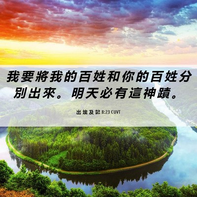 Picture 06 - 出 埃 及 記 8:23 CUVT - 我 要 將 我 的 百 姓 和 你 的 百 姓 - Bible Verse Picture