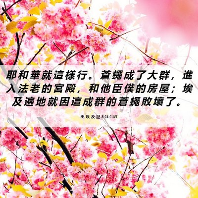 Picture 06 - 出 埃 及 記 8:24 CUVT - 耶 和 華 就 這 樣 行 。 蒼 蠅 成 了 - Bible Verse Picture