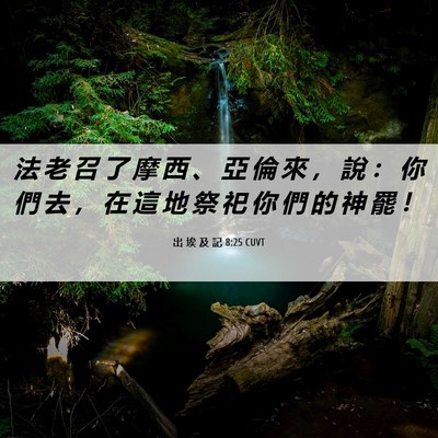 Picture 06 - 出 埃 及 記 8:25 CUVT - 法 老 召 了 摩 西 、 亞 倫 來 ， 說 - Bible Verse Picture
