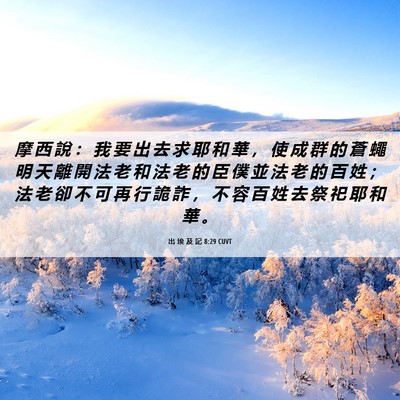 Picture 06 - 出 埃 及 記 8:29 CUVT - 摩 西 說 ： 我 要 出 去 求 耶 和 華 - Bible Verse Picture