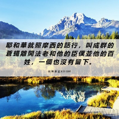 Picture 06 - 出 埃 及 記 8:31 CUVT - 耶 和 華 就 照 摩 西 的 話 行 ， 叫 - Bible Verse Picture