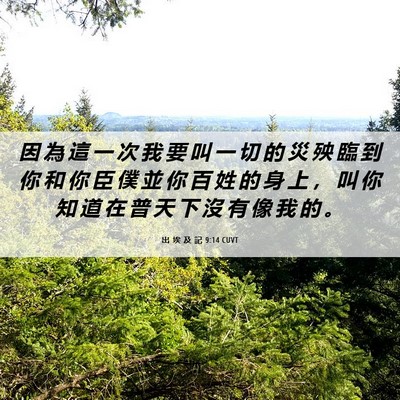 Picture 06 - 出 埃 及 記 9:14 CUVT - 因 為 這 一 次 我 要 叫 一 切 的 災 - Bible Verse Picture