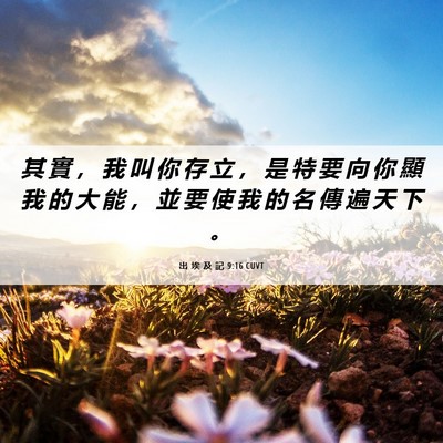 Picture 06 - 出 埃 及 記 9:16 CUVT - 其 實 ， 我 叫 你 存 立 ， 是 特 要 - Bible Verse Picture