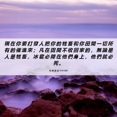 Picture 06 - 出 埃 及 記 9:19 CUVT - 現 在 你 要 打 發 人 把 你 的 牲 畜 - Bible Verse Picture