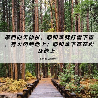 Picture 06 - 出 埃 及 記 9:23 CUVT - 摩 西 向 天 伸 杖 ， 耶 和 華 就 打 - Bible Verse Picture