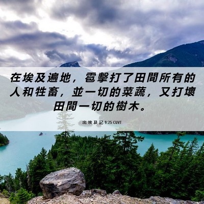 Picture 06 - 出 埃 及 記 9:25 CUVT - 在 埃 及 遍 地 ， 雹 擊 打 了 田 間 - Bible Verse Picture