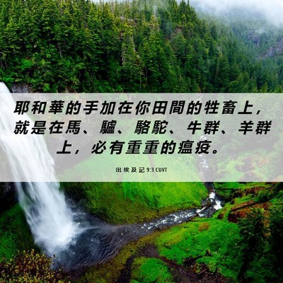 Picture 06 - 出 埃 及 記 9:3 CUVT - 耶 和 華 的 手 加 在 你 田 間 的 牲 - Bible Verse Picture