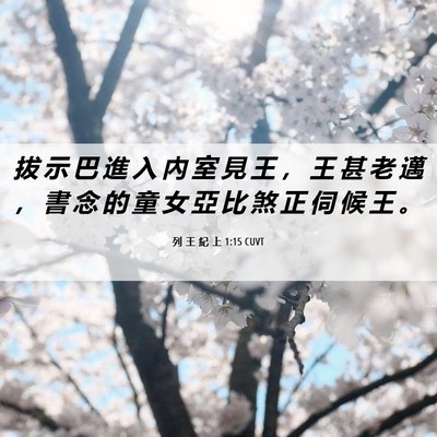 Picture 06 - 列 王 紀 上 1:15 CUVT - 拔 示 巴 進 入 內 室 見 王 ， 王 甚 - Bible Verse Picture