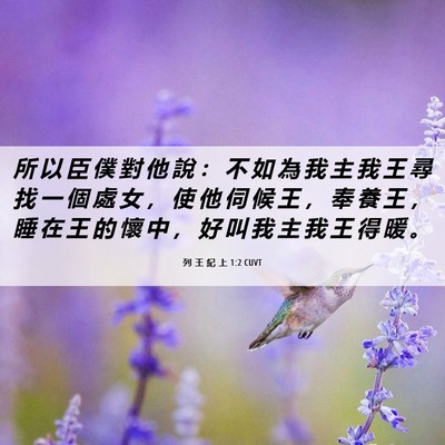 Picture 06 - 列 王 紀 上 1:2 CUVT - 所 以 臣 僕 對 他 說 ： 不 如 為 我 - Bible Verse Picture