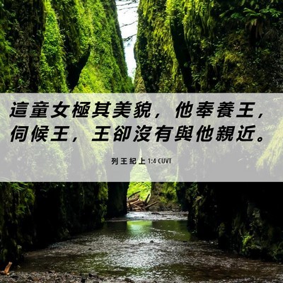Picture 06 - 列 王 紀 上 1:4 CUVT - 這 童 女 極 其 美 貌 ， 他 奉 養 王 - Bible Verse Picture