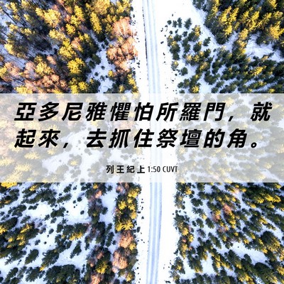 Picture 06 - 列 王 紀 上 1:50 CUVT - 亞 多 尼 雅 懼 怕 所 羅 門 ， 就 起 - Bible Verse Picture