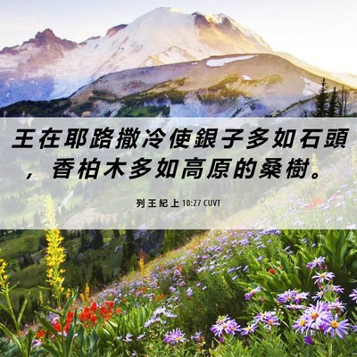 Picture 06 - 列 王 紀 上 10:27 CUVT - 王 在 耶 路 撒 冷 使 銀 子 多 如 石 - Bible Verse Picture