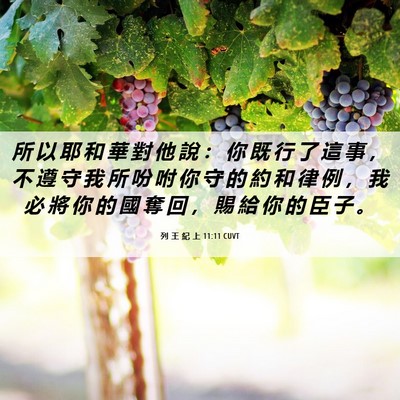Picture 06 - 列 王 紀 上 11:11 CUVT - 所 以 耶 和 華 對 他 說 ： 你 既 行 - Bible Verse Picture